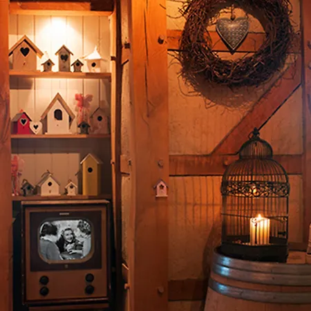 De Plank - Alle Met Airconditioning 3* Noorbeek