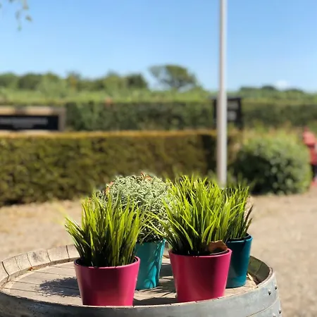 Estalagem De Plank - Alle Met Airconditioning Noorbeek