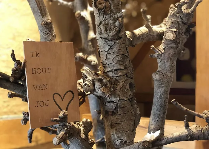 De Plank - Alle Met Airconditioning 3*