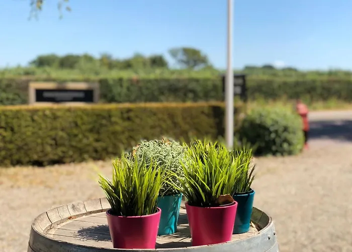 بيت ريفي De Plank - Alle Met Airconditioning نوربيك